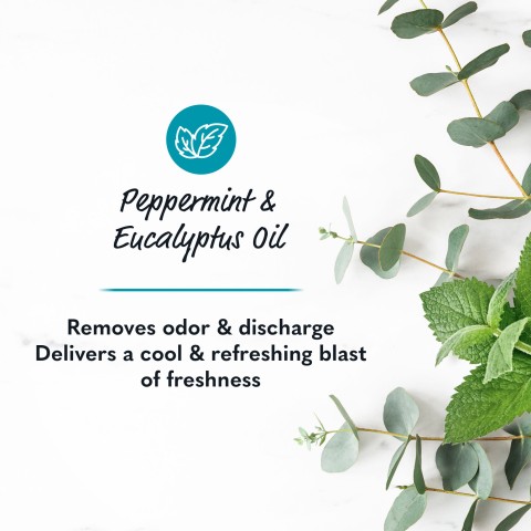 peppermint and eucalyptus oil